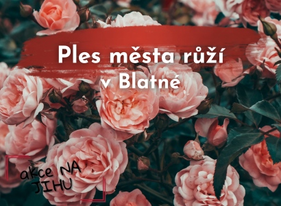 Ples města růží v Blatné